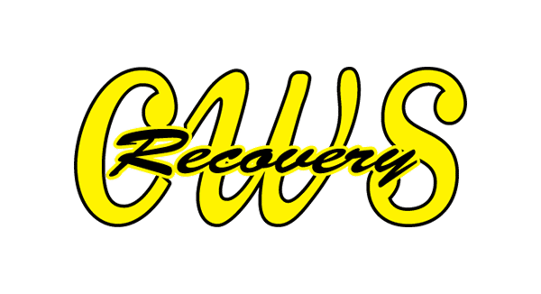CWS RECOVERY Auction